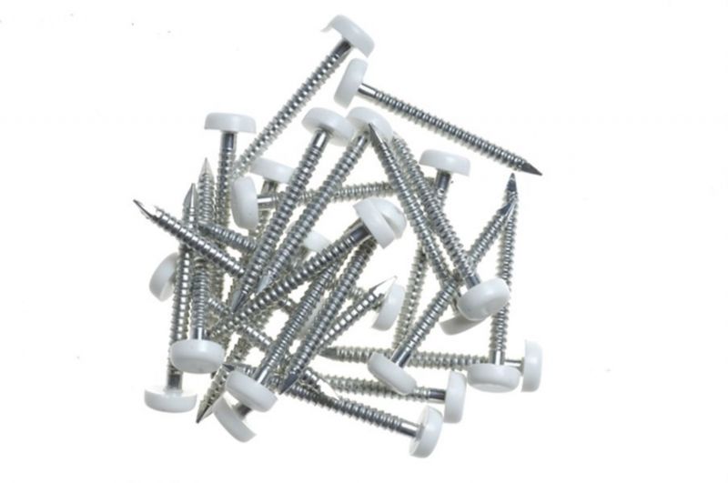 25 X Clou Avec Tete Plastique Blanc