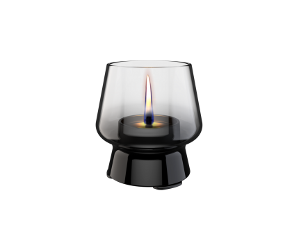 Amaryllis 14 Black-smoke