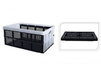 Opvouwbare Box 60l Ass.