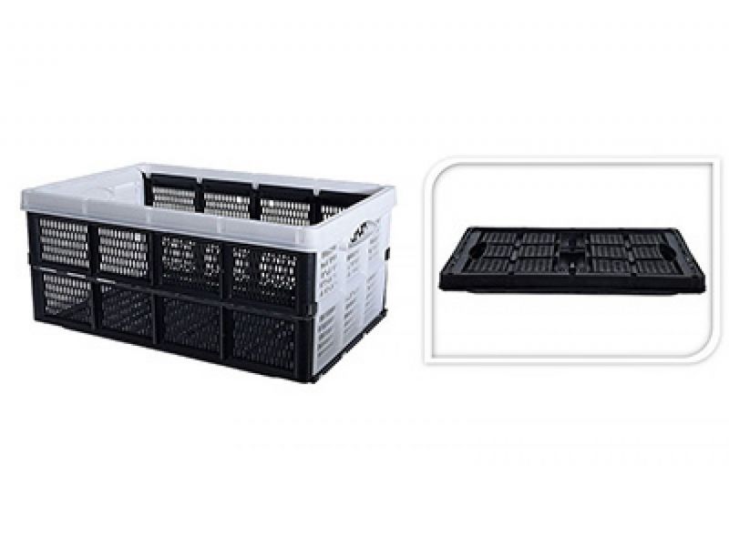 Opvouwbare Box 60l Ass.