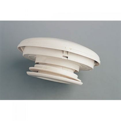 Paddestoel Verluchter Ivoor