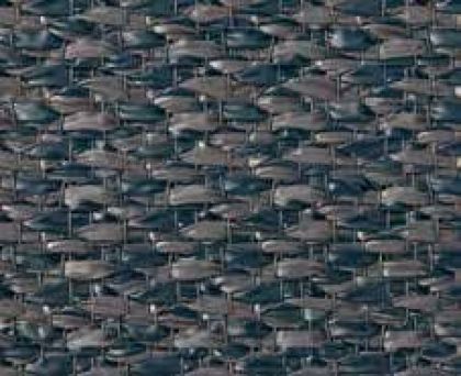 Tapijt North Grijs/blauw 250cm