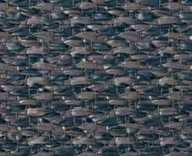 Tapijt North Grijs/blauw 250cm