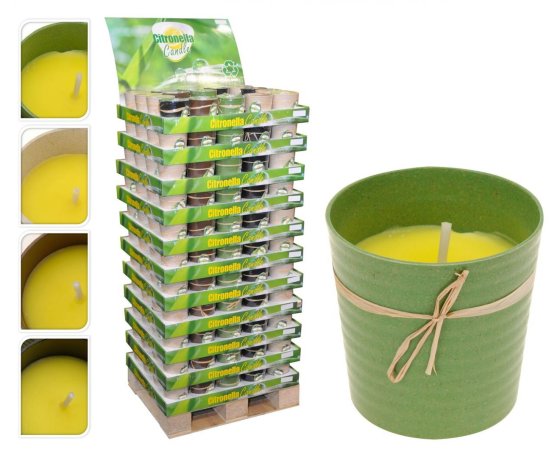 KAARS IN ECO POT